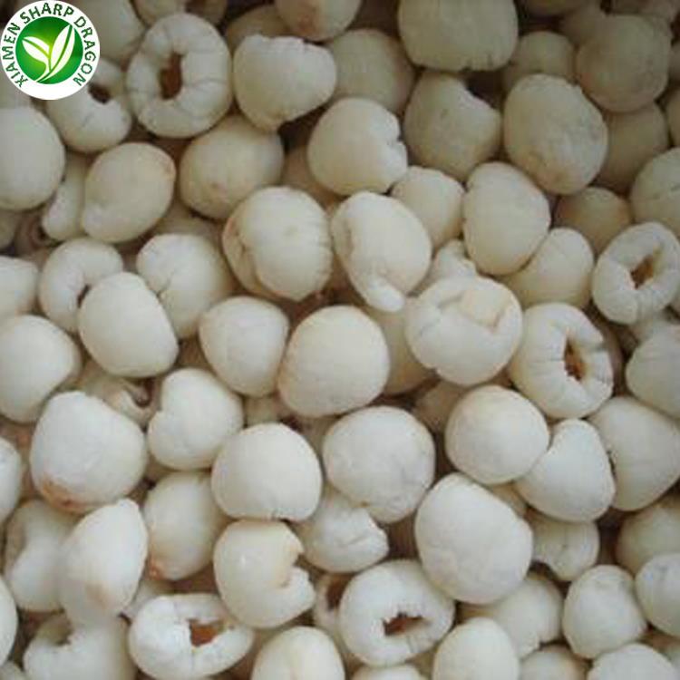 wholesale lychee pulp