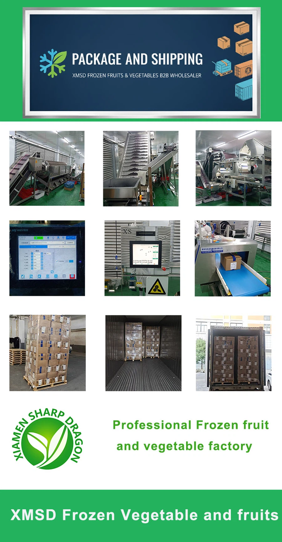 xmsd Packaging xmsd Packaging