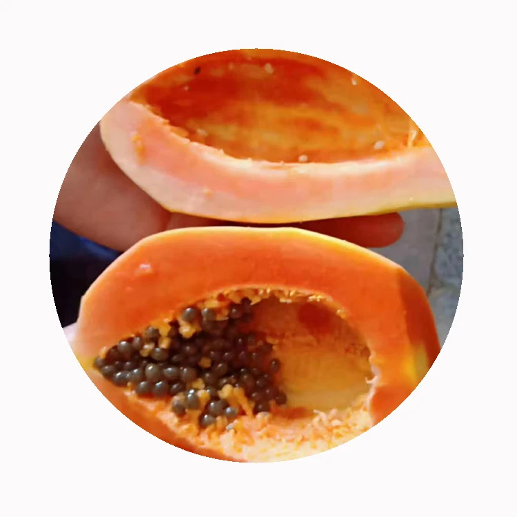 Non-GMO Tropical IQF Frozen Papaya Slices Non-GMO Tropical IQF Frozen Papaya Slices