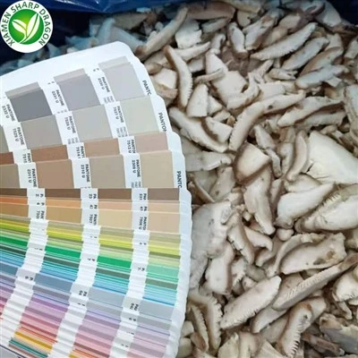 Champiñones Rebanados Congelados