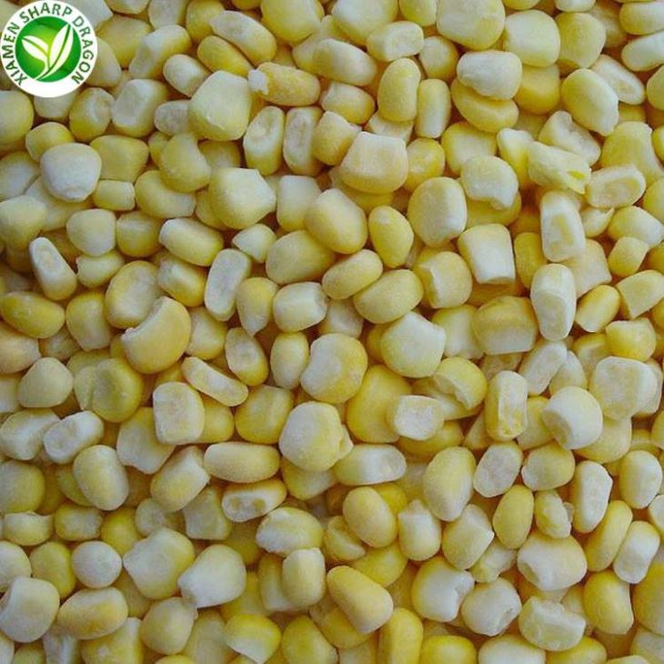 Grano de maíz dulce congelado