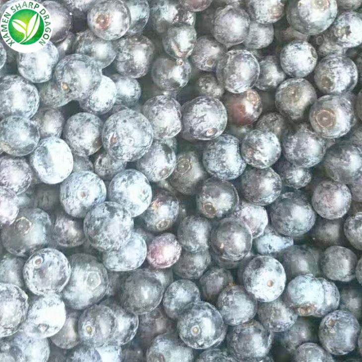 Frozen Blueberries Price
