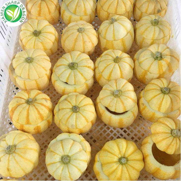 Mini Calabazas a Granel
