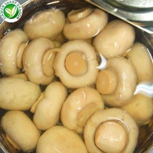 Proveedores de Champiñones enlatados