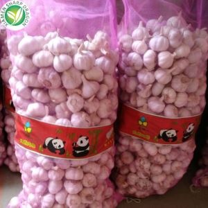 Ajo blanco fresco en Alibaba
