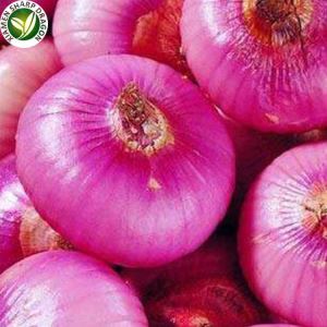 Beneficios de cebollas rojas