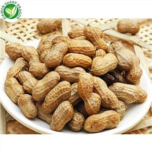 Cacahuetes hervidos cerca de mí