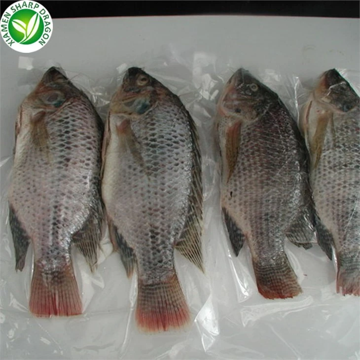 Frozen Tilapia